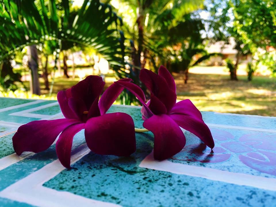 Lanta Queen Resort Ko Lanta Exteriör bild